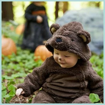 Állatok: Maci, zebra, zsiráf