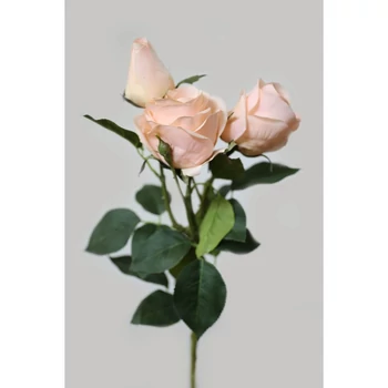 Barack színű mű háromvirágú rózsa, 73 cm