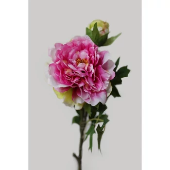 Ciklámen mű bazsarózsa 72 cm