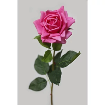 Ciklámen mű virágzó rózsa, 74 cm