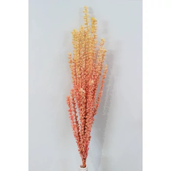 Lazac színű habfű bogyókkal, 80 cm