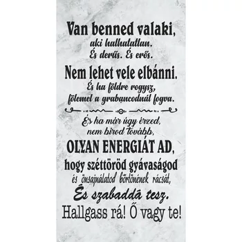 Falikép tábla - Van benned valaki 26*50cm