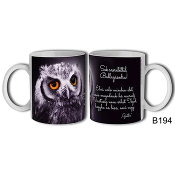 Bögre - Sok szeretettel ballagásodra Bagoly