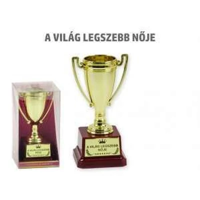 A világ legszebb nője Díj