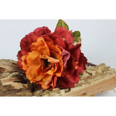 Narancssárga mű bazsarózsa