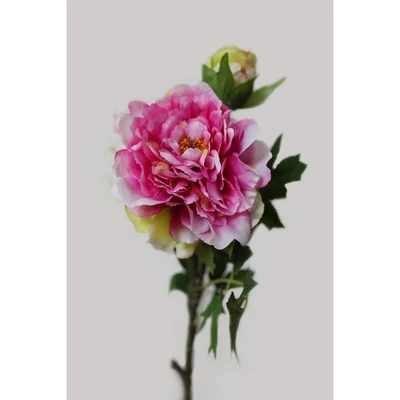 Ciklámen mű bazsarózsa 72 cm