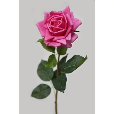 Ciklámen mű virágzó rózsa, 74 cm