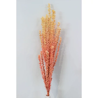 Lazac színű habfű bogyókkal, 80 cm