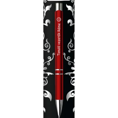 Gravírozott toll-Tanuló vezetők réme