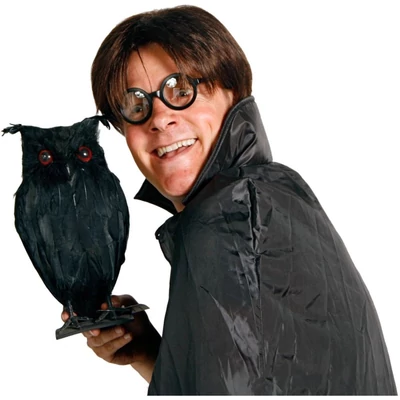 Szemüveg - Harry a varázsló