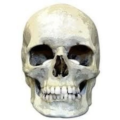 Koponya Papír maszk