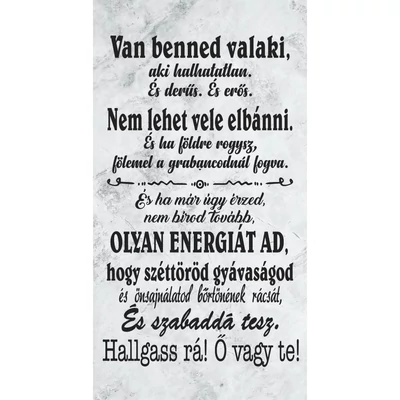 Falikép tábla - Van benned valaki 26*50cm