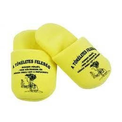 Házi Papucs - A tökéletes feleség